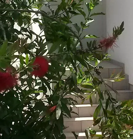 Padovan Apartmán Banjol