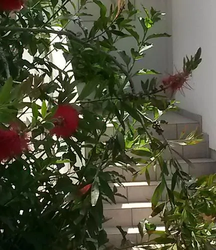 Padovan Apartment Banjol